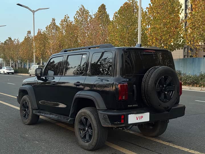 Фото 7 - Tank 300