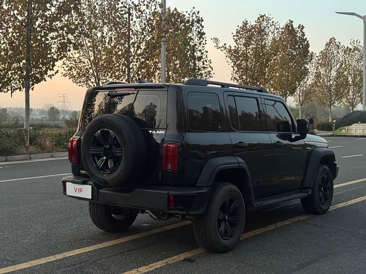 Фото 9 - Tank 300