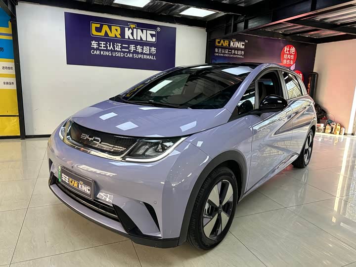 Фото 1 - BYD Dolphin