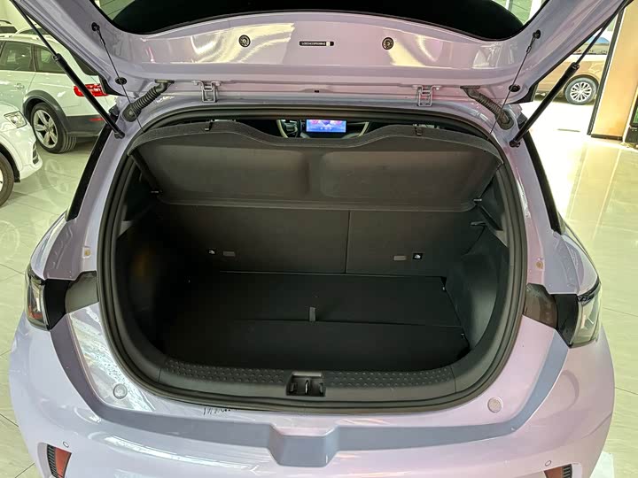 Фото 15 - BYD Dolphin