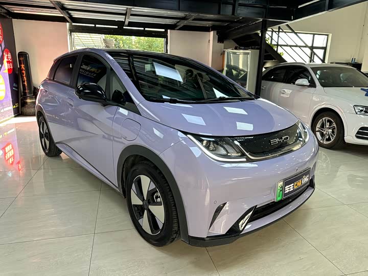 Фото 3 - BYD Dolphin