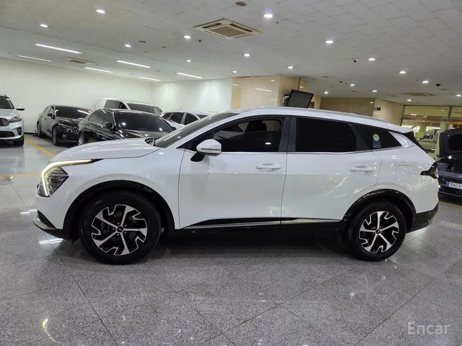 Фото 3 - Kia Sportage