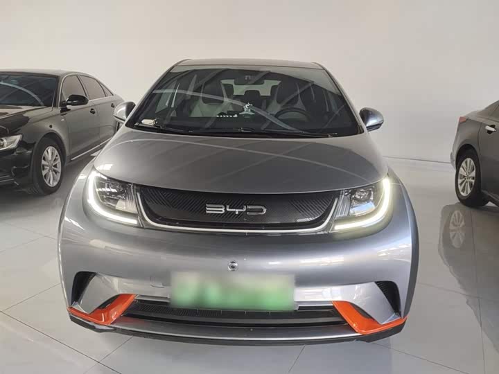 Фото 3 - BYD Dolphin