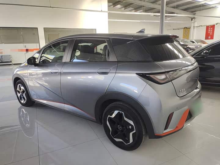 Фото 5 - BYD Dolphin