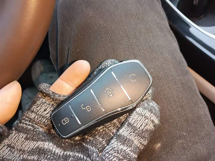 Фото 9 - BYD Qin Plus