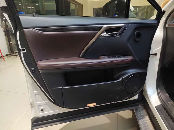 Фото 12 - Lexus RX