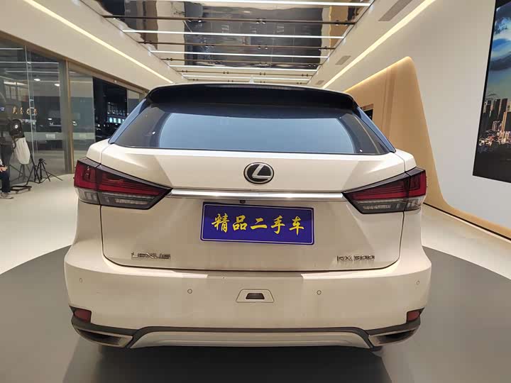 Фото 7 - Lexus RX