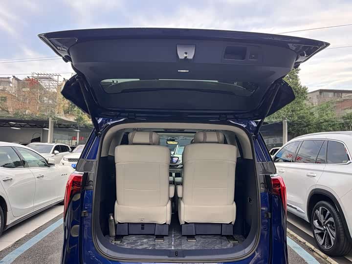 Фото 12 - Buick GL8 Century