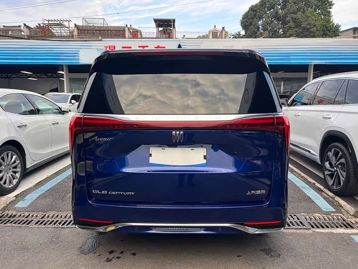 Фото 14 - Buick GL8 Century