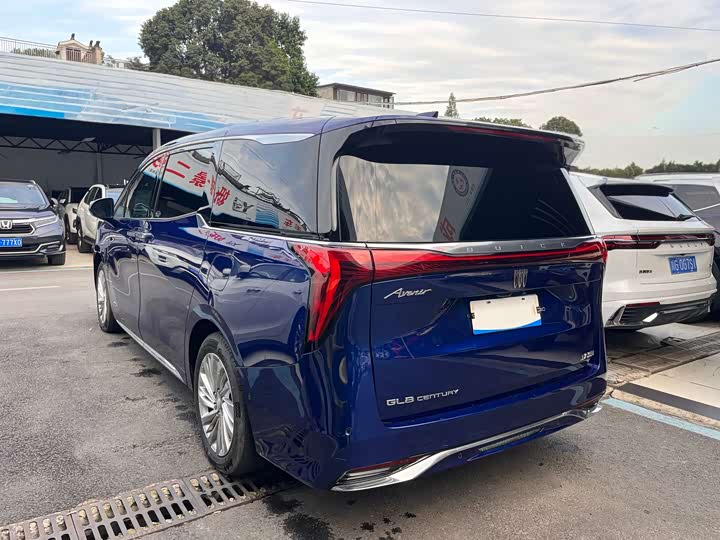 Фото 15 - Buick GL8 Century