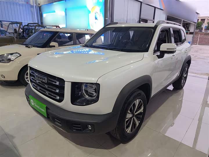 Фото 2 - Haval Dargo