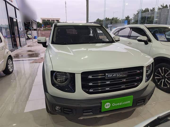Фото 3 - Haval Dargo