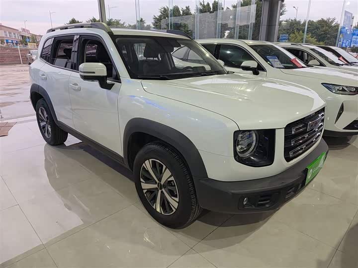 Фото 4 - Haval Dargo