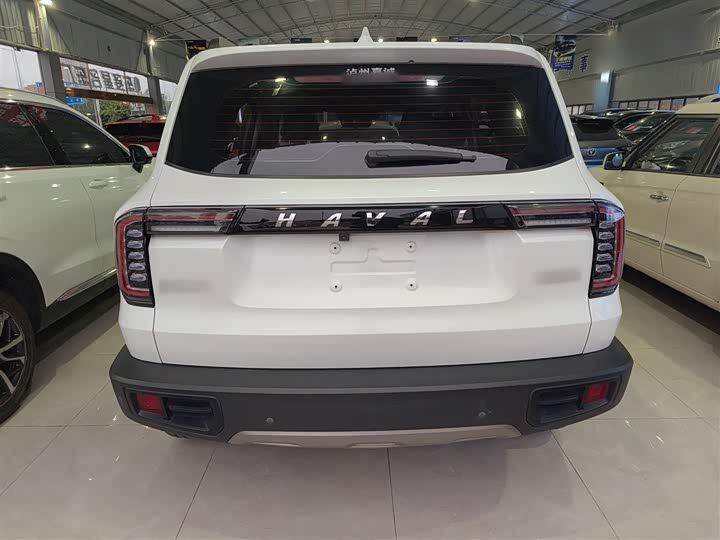 Фото 6 - Haval Dargo