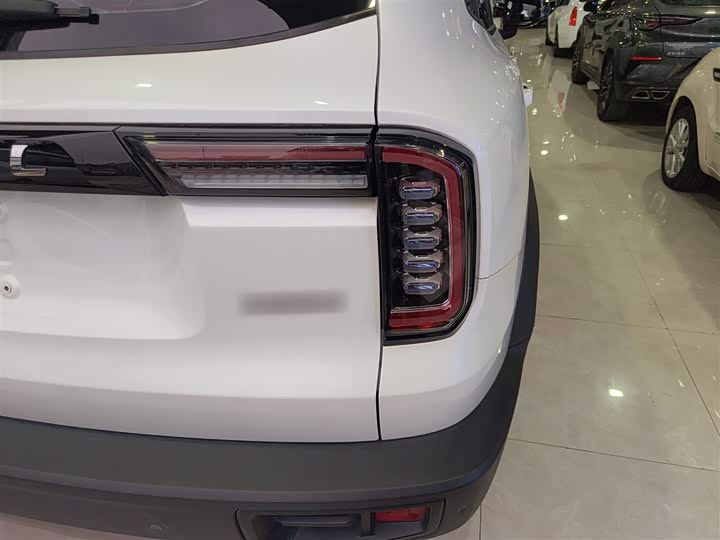 Фото 8 - Haval Dargo