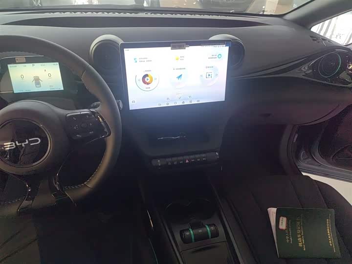 Фото 10 - BYD Dolphin