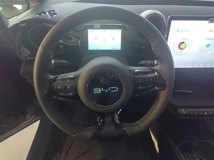 Фото 11 - BYD Dolphin