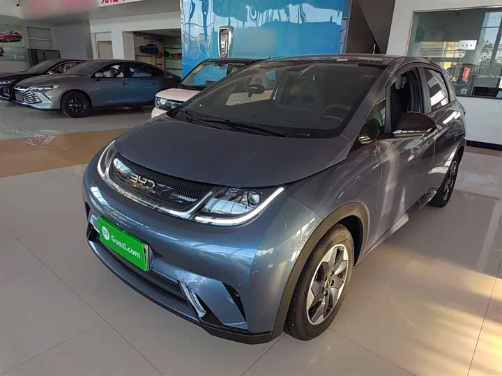 Фото 2 - BYD Dolphin