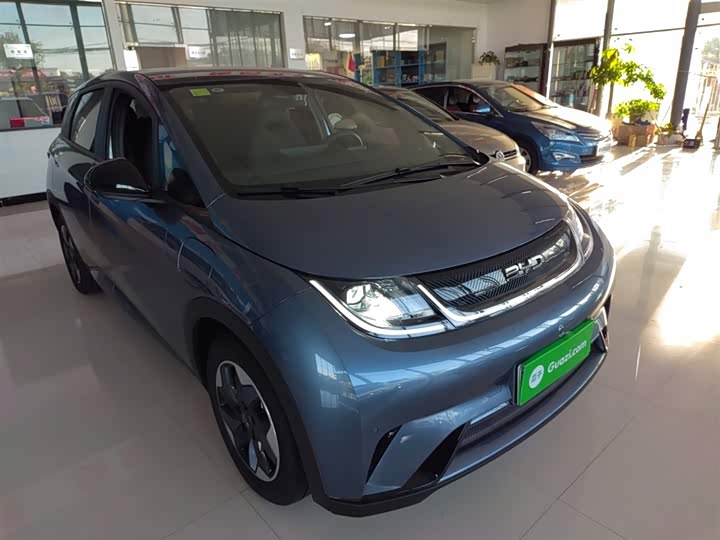 Фото 4 - BYD Dolphin