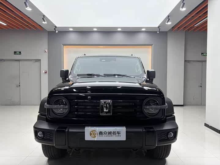 Фото 2 - Tank 300