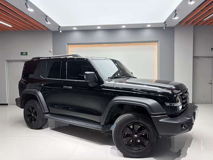 Фото 3 - Tank 300