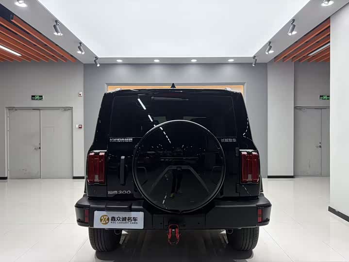 Фото 5 - Tank 300