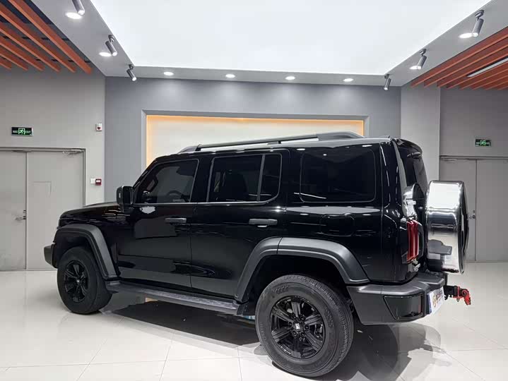 Фото 6 - Tank 300