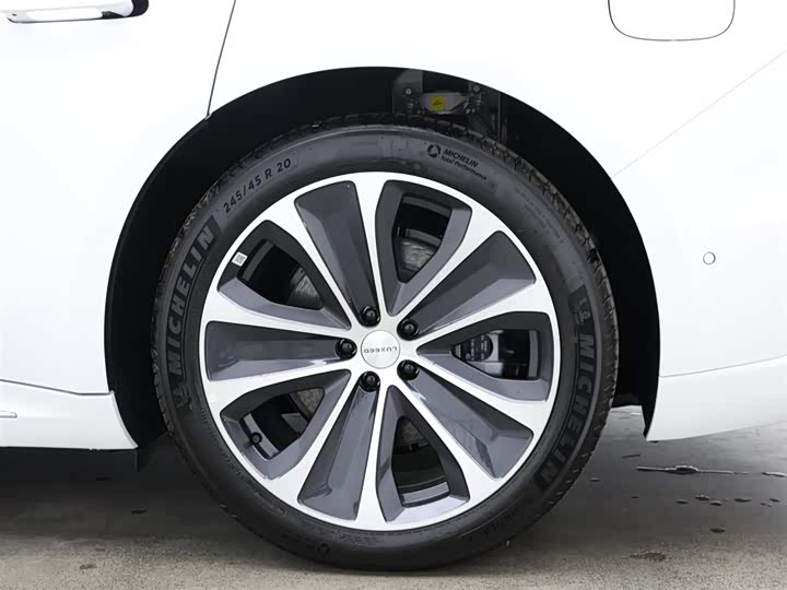 Фото 9 - Luxeed S7