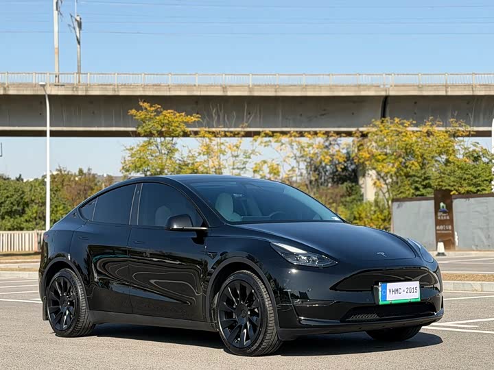 Фото 4 - Tesla Model Y