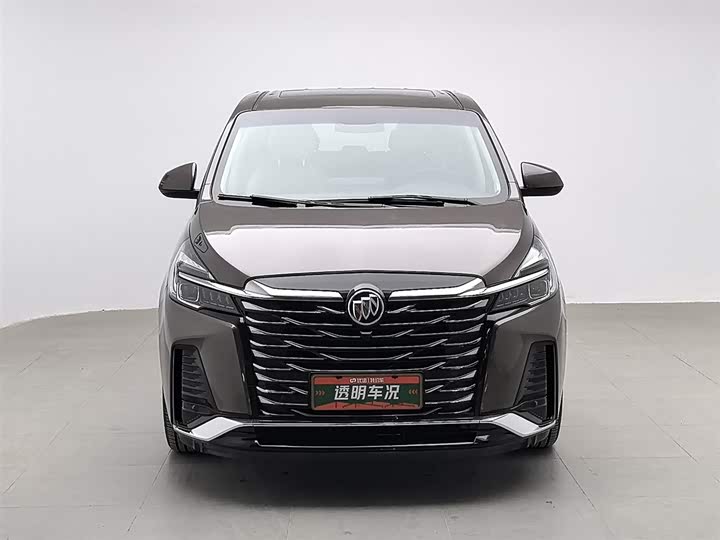 Фото 3 - Buick GL8 ES