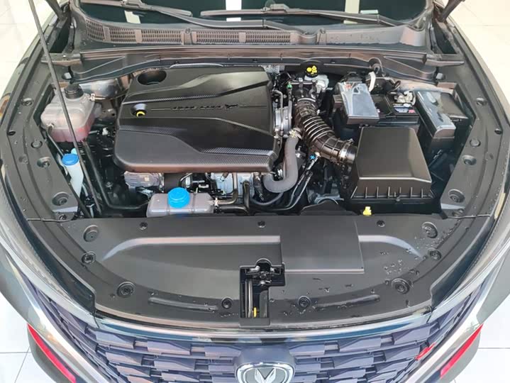 Фото 10 - Changan Eado Plus