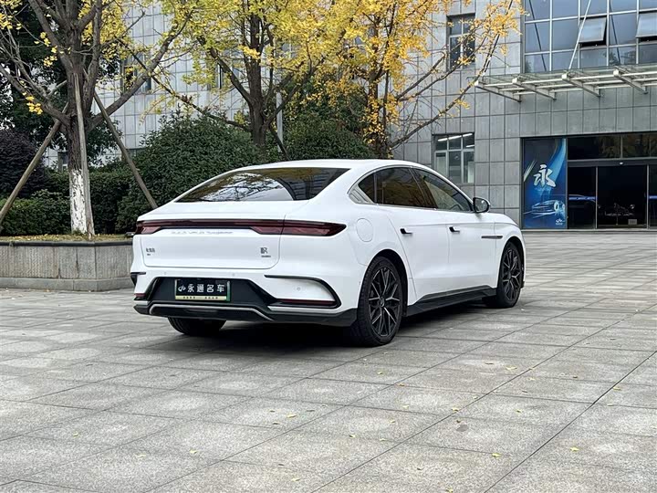 Фото 13 - BYD Han