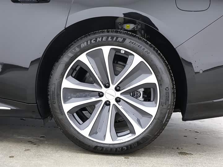 Фото 9 - Luxeed S7