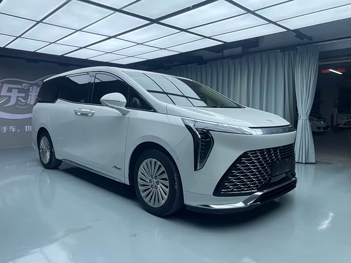 Фото 3 - Buick GL8 Century