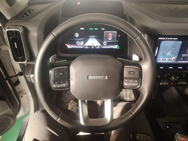 Фото 11 - Haval Dargo