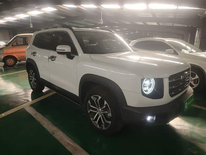 Фото 4 - Haval Dargo