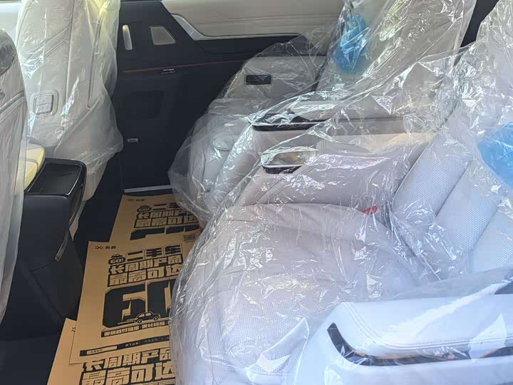 Фото 14 - Buick GL8 Century