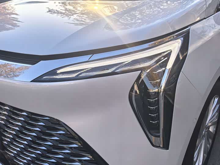 Фото 16 - Buick GL8 Century