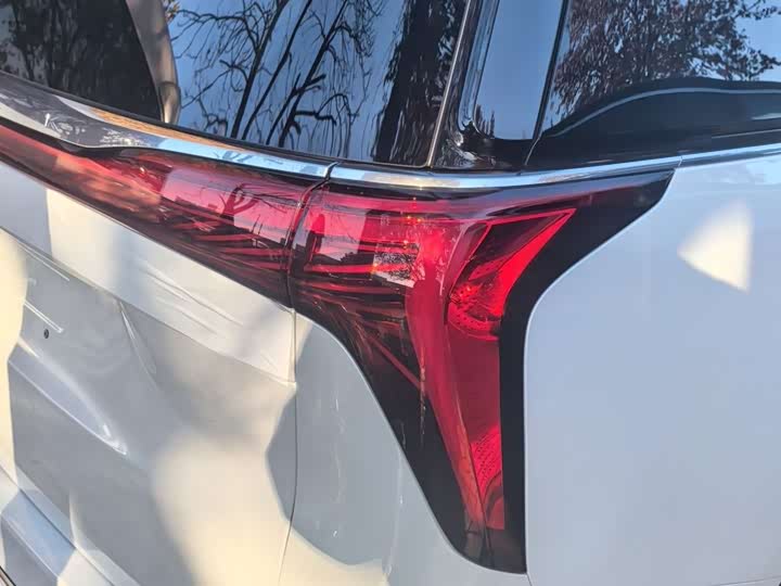 Фото 18 - Buick GL8 Century