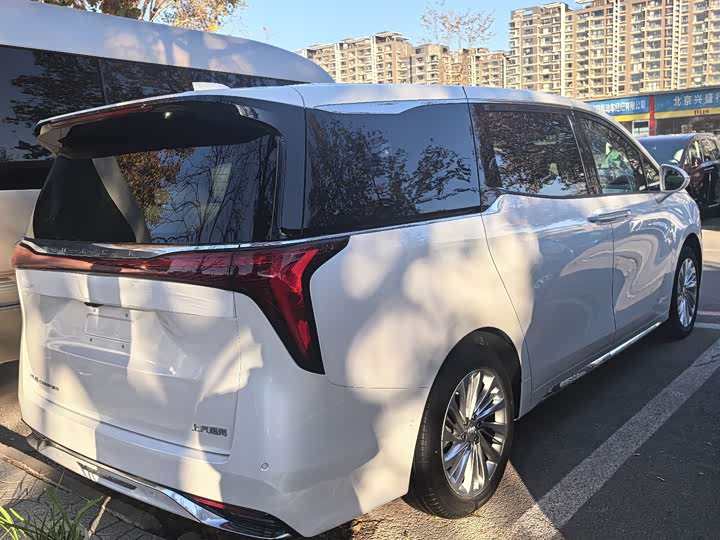 Фото 5 - Buick GL8 Century