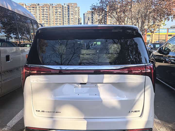 Фото 6 - Buick GL8 Century