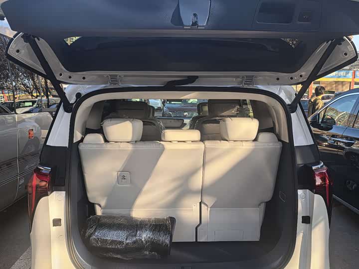 Фото 7 - Buick GL8 Century