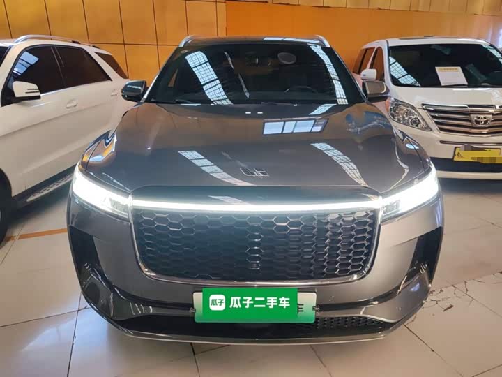 Фото 3 - LiXiang One