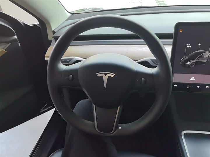 Фото 11 - Tesla Model 3