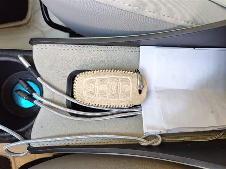 Фото 12 - Ora White Cat