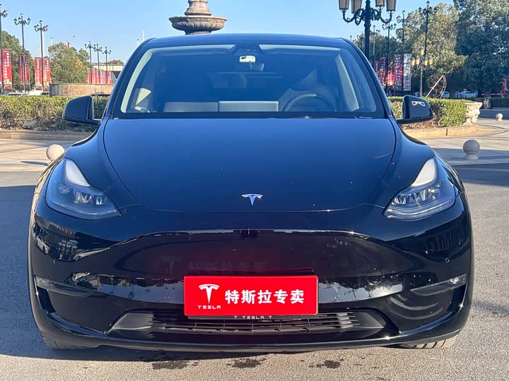 Фото 3 - Tesla Model Y