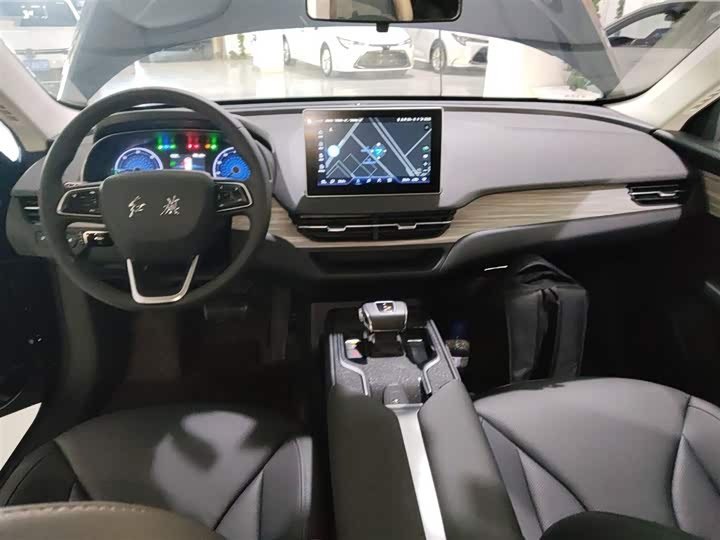 Фото 10 - Hongqi E-QM5