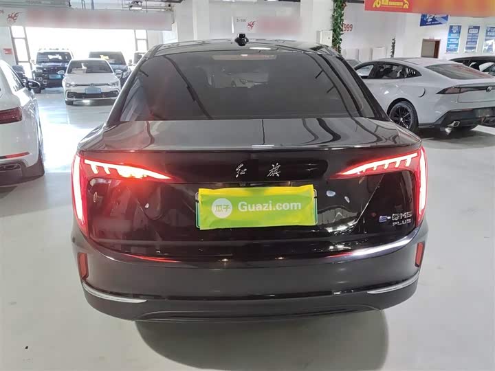 Фото 6 - Hongqi E-QM5