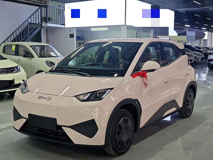 Фото 1 - BYD Seagull