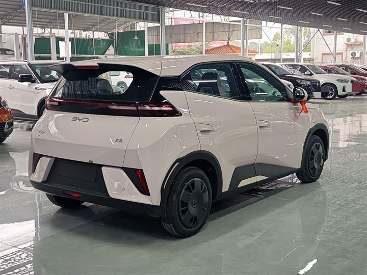 Фото 13 - BYD Seagull